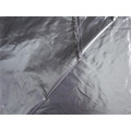 20d Nylon Taffeta Fabric for Down Coat (XSN001)